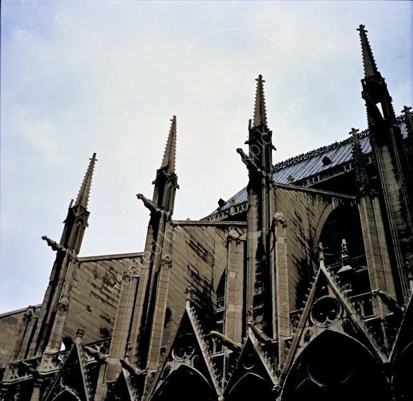 Flying Buttresses, Notre Dame Cathedral, Paris